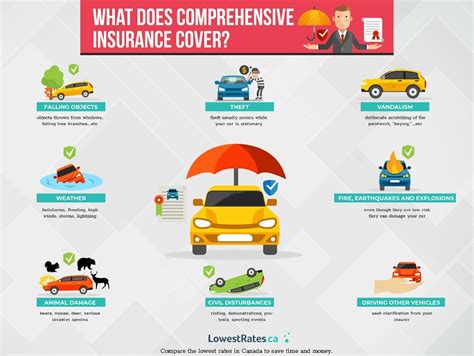 7 Ways Comprehensive Coverage Expansion Will Change Your Life