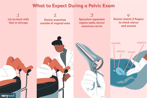 3. Pelvic Exam