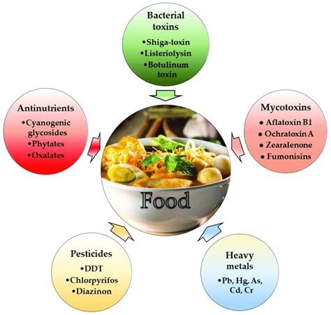 1. Hidden Toxins in Daily Products