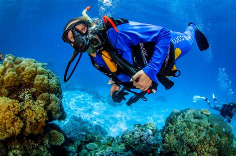 2. Dive Deep: Scuba Diving or Snorkeling Adventures