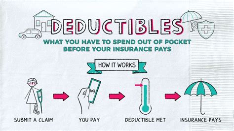 Exploring Your Options: