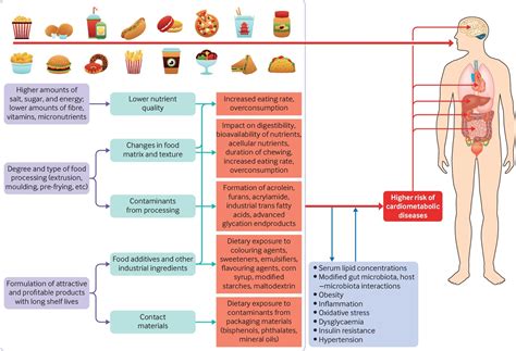 5. Overconsumption of Processed Foods: A Recipe for Disorder