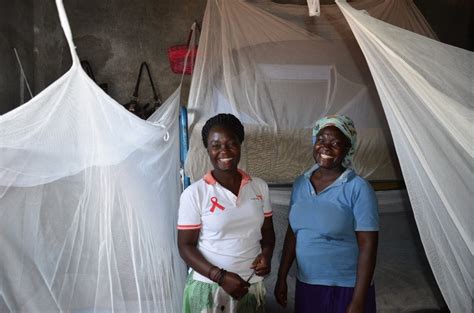 2. Fighting Disease with Mosquito Nets: Insecticide-Treated Nets (ITNs)
