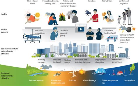 5. Reducing Mortality with Antibiotics: Universal Healthcare & Access