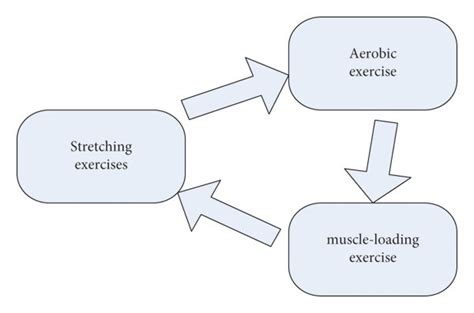 2. Embrace Movement: Find Your Fitness Flow