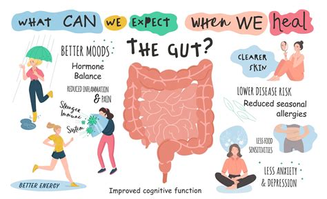 5. Mind Your Gut: Feed Your Microbiome