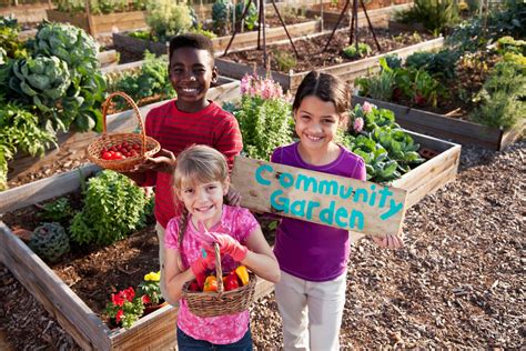 1. Community Gardens: Cultivating Connection Through Food