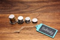 7 SHOCKING Ways Subsidized Plans Secretly Save You Money