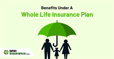 2. Whole Life Insurance: Lifelong Protection and Investment