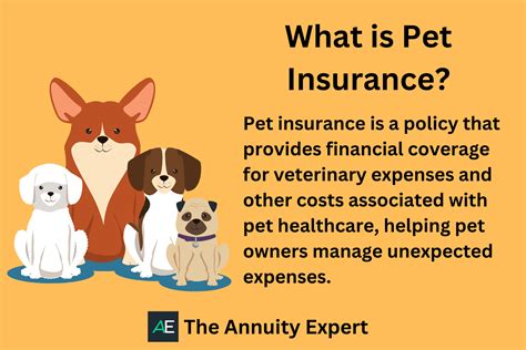 1.  Pet Insurance 🐾